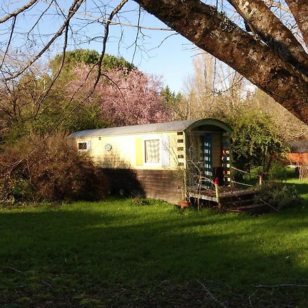 Graines De Nature - Ecolodges Insolites Saint-Eutrope-de-Born Exterior foto