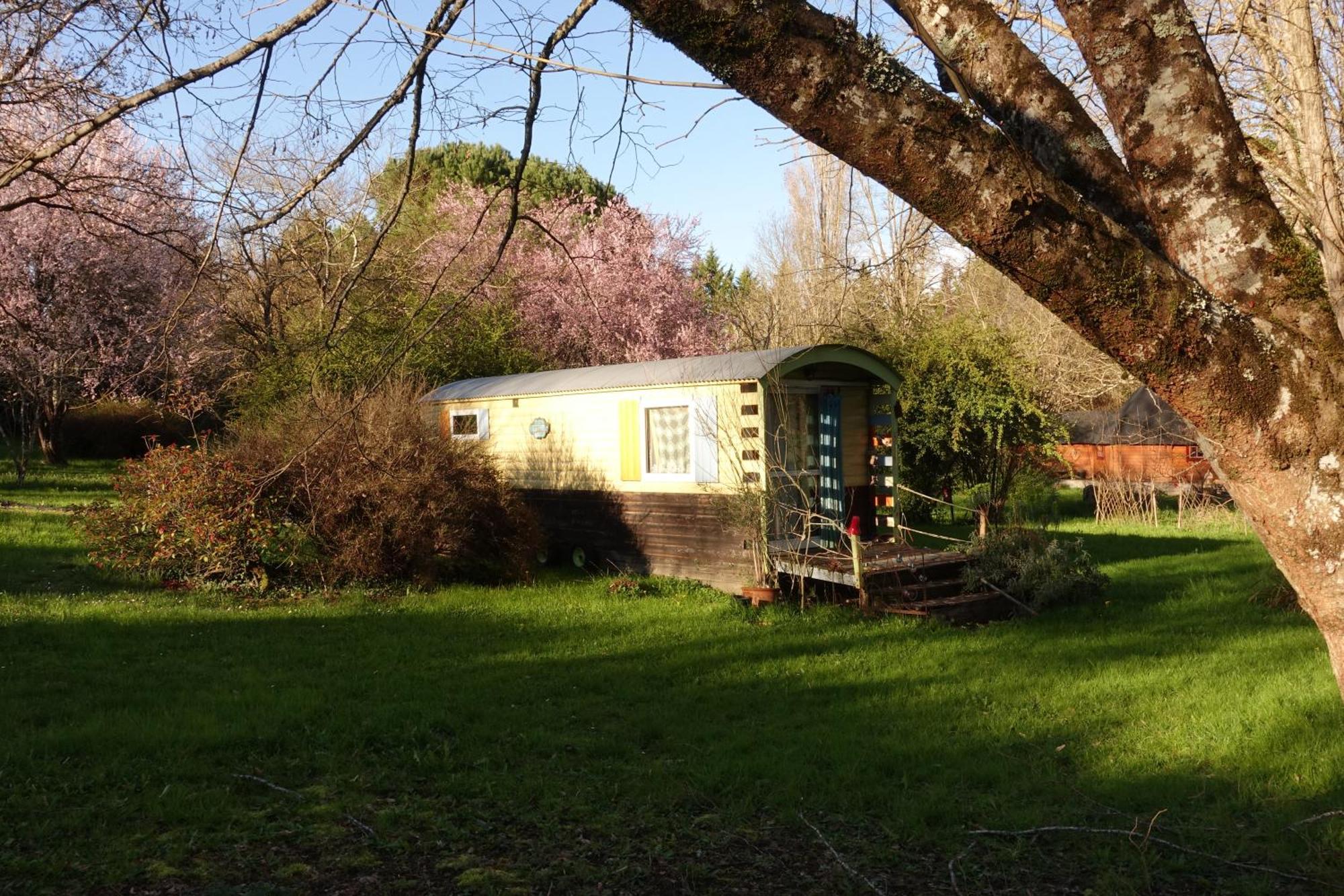 Graines De Nature - Ecolodges Insolites Saint-Eutrope-de-Born Exterior foto
